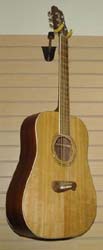 Tacoma DR12 Guitar available from Prussia Valley Dulcimer Acoustic Music Shop