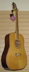 DR20 Tacoma Guitar available from Prussia Valley Dulcimer Acoustic Music Shop